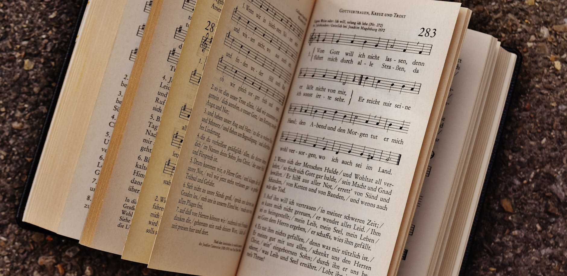 「lulu.」歌詞の全体テーマを読み解く
