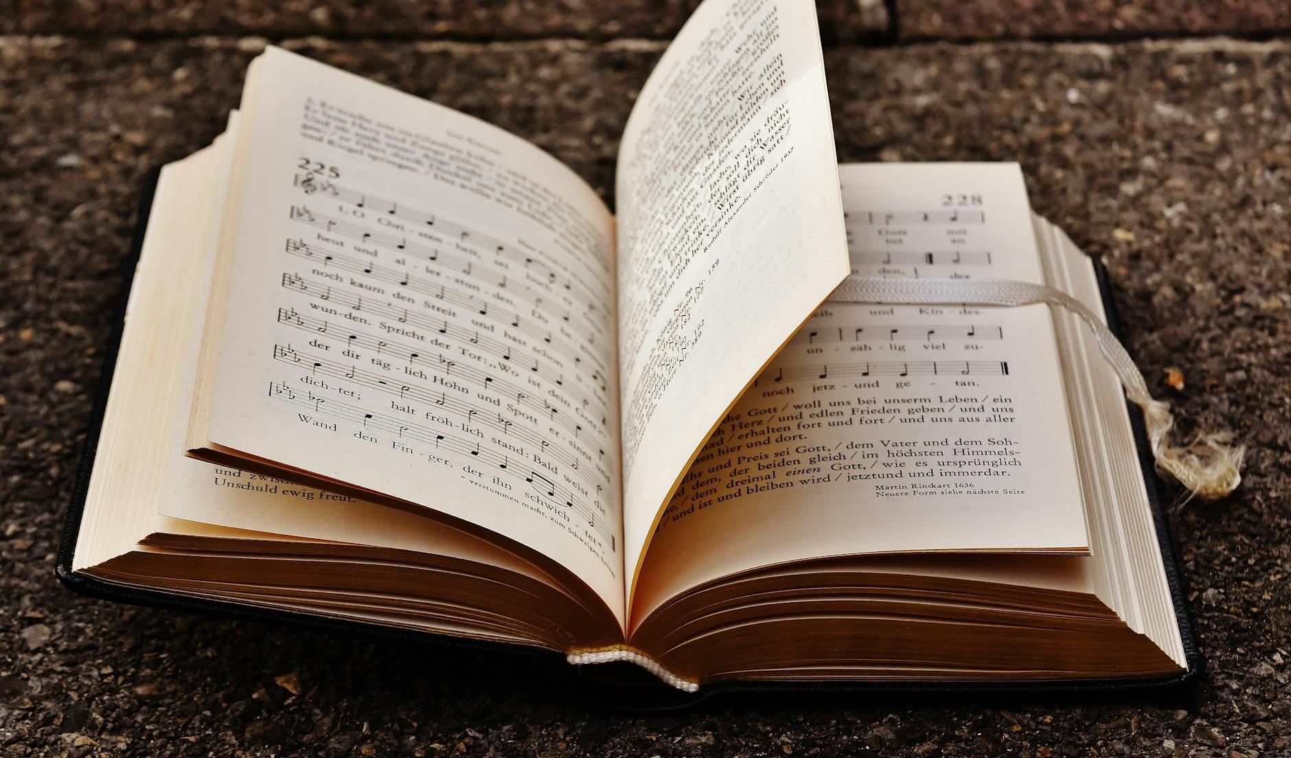 歌詞解説①｜冒頭「沈むように溶けてゆくように」の本当の意味